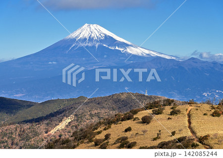伊豆半島の伊豆山稜線歩道 達磨山から望む冬の富士山 伊豆半島の伊豆山稜線歩道 達磨山から望む冬の富士山 142085244