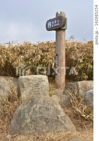 伊豆半島の伊豆山稜線歩道 達磨山山頂の三角点 伊豆半島の伊豆山稜線歩道 達磨山山頂の三角点 142085254