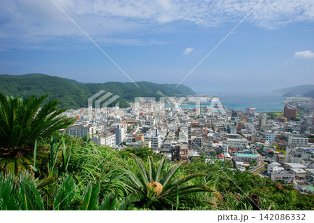 奄美大島 奄美市全景 奄美大島 奄美市全景 142086332