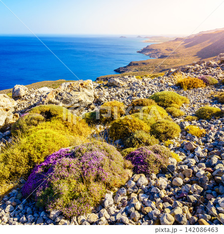 Xerokambos coastline 142086463