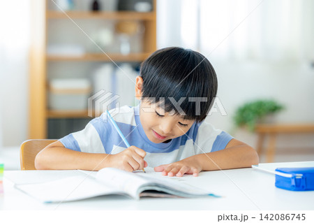 勉強する小学生 勉強する小学生 142086745