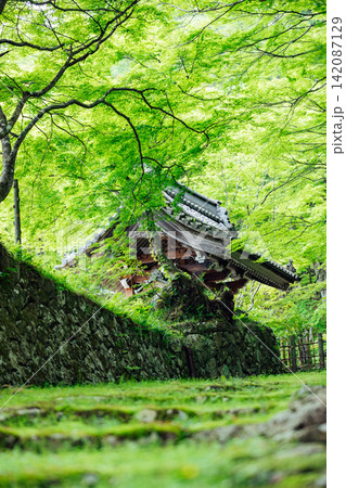 【滋賀県東近江市】百済寺 苔むす表門前と新緑の絶景 【滋賀県東近江市】百済寺 苔むす表門前と新緑の絶景 142087129