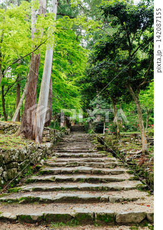 【滋賀県東近江市】百済寺 仁王門へ続く参道 【滋賀県東近江市】百済寺 仁王門へ続く参道 142087155