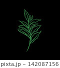 leaf pant line art. Minimalistic line drawing. leaf line art. Botanical drawing illustration by hand. 142087156