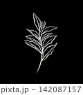 leaf pant line art. Minimalistic line drawing. leaf line art. Botanical drawing illustration by hand. 142087157