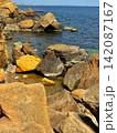 A scenic view of large brown textured boulders on a rocky shore against a clear blue ocean and sky. 142087167