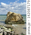 A scenic landscape featuring a massive yellow sandstone boulder standing in crystal clear sea water. Several pigeons rest on top of the rock 142087179