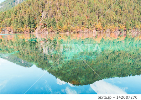 Scenery Jiuzhaigou national park in Sichuan, China. Beautiful of Mirror Lake in Autumn season. Famous Landmark and Vacation near Chengdu, China. Asia travel concept Scenery Jiuzhaigou national park in Sichuan, China. Beautiful of Mirror Lake in Autumn season. Famous Landmark and Vacation near Chengdu, China. Asia travel concept 142087270