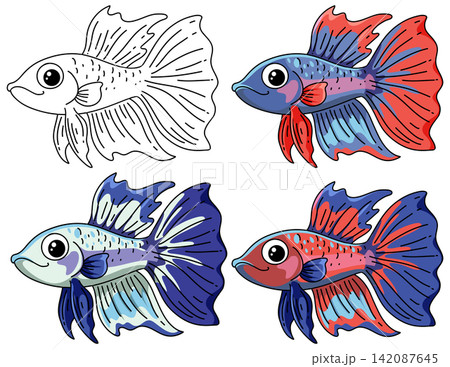 Set of Four Cartoon Betta Fish Illustrations in Different Colors Set of Four Cartoon Betta Fish Illustrations in Different Colors 142087645