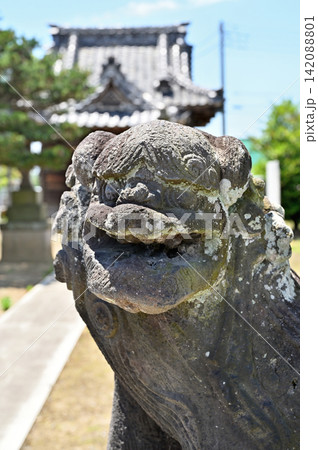 岩槻散歩:大口の香取神社 狛犬 岩槻区大字大口 岩槻散歩:大口の香取神社 狛犬 岩槻区大字大口 142088801