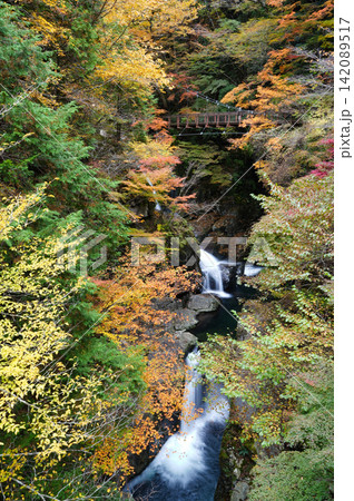 紅葉に包まれる秋のみたらいの滝 142089517