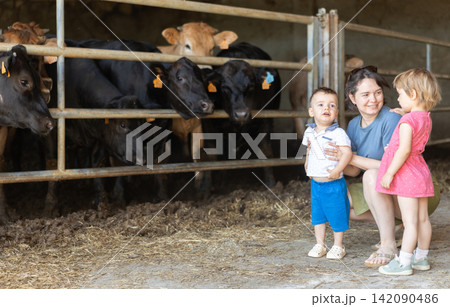 Mother gives two little children tour of cow farm. Its children first time seeing cows Mother gives two little children tour of cow farm. Its children first time seeing cows 142090486