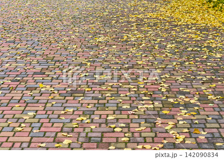 Autumn Solitude mood.Cobblestone street with colored fallen leaves Autumn Solitude mood.Cobblestone street with colored fallen leaves 142090834