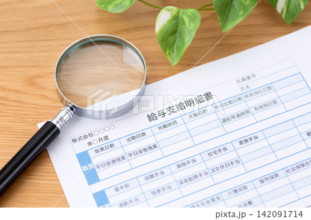 給与支給明細書と虫眼鏡 給与支給明細書と虫眼鏡 142091714
