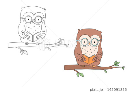 Cute owl reading book, cartoon character for kids. Vector isolated outline illustration for colouring page and book 142091836