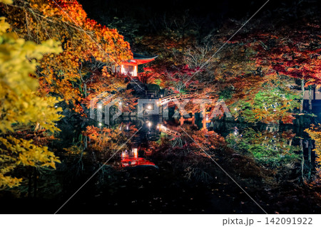 Illuminated Maples Reflecting on Benten Pond at Daigo ji Nov 26 2025 Illuminated Maples Reflecting on Benten Pond at Daigo ji Nov 26 2025 142091922