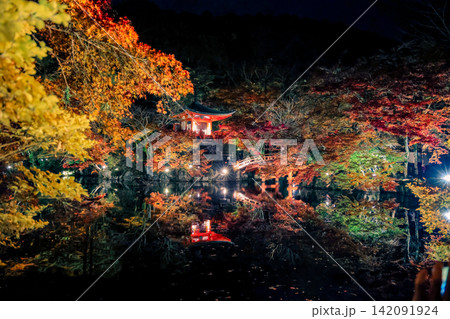 Illuminated Maples Reflecting on Benten Pond at Daigo ji Nov 26 2025 Illuminated Maples Reflecting on Benten Pond at Daigo ji Nov 26 2025 142091924