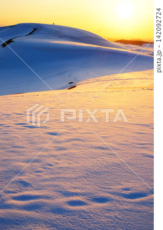夕陽でオレンジ色に輝く雪の鳥取砂丘 夕陽でオレンジ色に輝く雪の鳥取砂丘 142092724