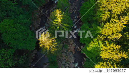 Aerial top-down view of a winding river flowing through a lush green forest. Scenic wilderness landscape with rocks and trees, perfect for nature, travel and environmental concepts. Aerial top-down view of a winding river flowing through a lush green forest. Scenic wilderness landscape with rocks and trees, perfect for nature, travel and environmental concepts. 142093027