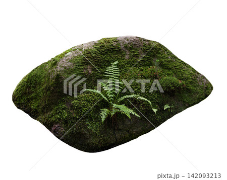 stone overgrown with moss isolated on white background stone overgrown with moss isolated on white background 142093213