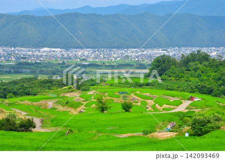 長野県 姨捨の棚田 長野県 姨捨の棚田 142093469