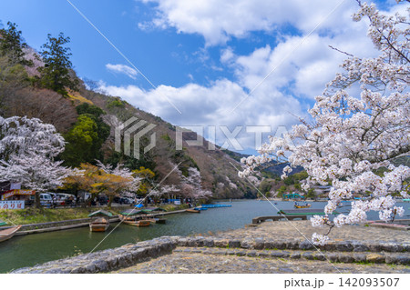 京都嵐山　屋形船のりばと桜 142093507