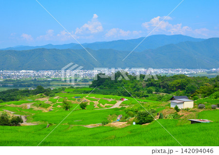 長野県　姨捨の棚田 142094046