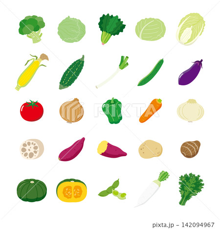 シンプルかわいい野菜のベクターイラストセット シンプルかわいい野菜のベクターイラストセット 142094967