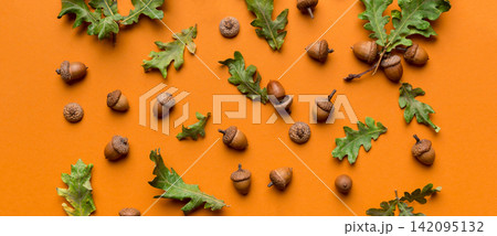 Branch with green oak tree leaves and acorns on colored background, close up top view 142095132