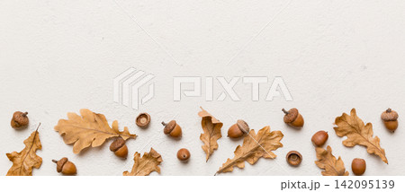 Branch with green oak tree leaves and acorns on colored background, close up top view 142095139