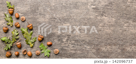 Branch with green oak tree leaves and acorns on colored background, close up top view 142096737