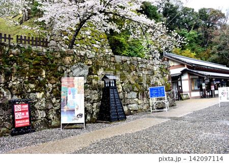 滋賀県 彦根城表門入場口と満開の桜 滋賀県 彦根城表門入場口と満開の桜 142097114