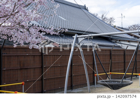 京都　仁和公園　桜 142097574