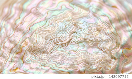 Extreme closeup showing wavy topographic lines crossing shiny pale iridescent seashell inner surface reflecting bright pastel pink green hues across organic calcium layers Extreme closeup showing wavy topographic lines crossing shiny pale iridescent seashell inner surface reflecting bright pastel pink green hues across organic calcium layers 142097735