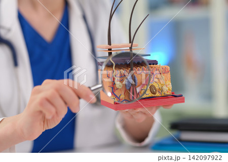 Woman doctor explains skin structure on model during clinic visit Woman doctor explains skin structure on model during clinic visit 142097922