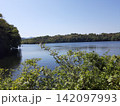 伊東市・一碧湖の湖畔と森林が広がる自然風景 142097993