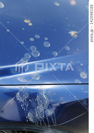 車に付着した鳥の糞 車に付着した鳥の糞 142098188