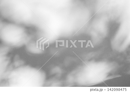 Abstract natural tree branch leaves shadow on white wall background Abstract natural tree branch leaves shadow on white wall background 142098475