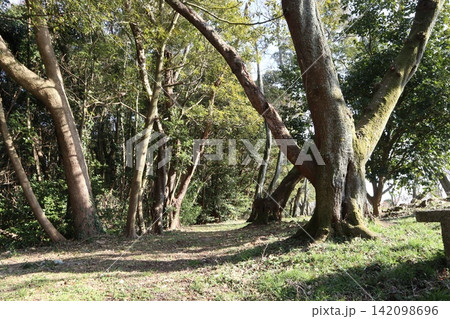 2014年・香川県・三豊市・風景・詫間町・紫雲出山・其の五十四 2014年・香川県・三豊市・風景・詫間町・紫雲出山・其の五十四 142098696