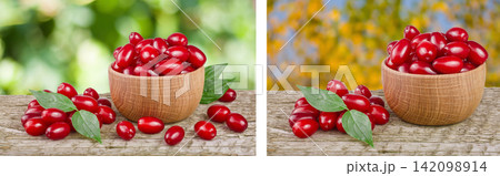 dogwood berry with leaf in bowl on wooden table with a blurry garden background dogwood berry with leaf in bowl on wooden table with a blurry garden background 142098914