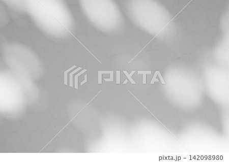 Abstract natural tree branch leaves shadow on white wall background Abstract natural tree branch leaves shadow on white wall background 142098980