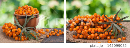 Sea-buckthorn berries in a wooden bowl on table with blurred garden background Sea-buckthorn berries in a wooden bowl on table with blurred garden background 142099083