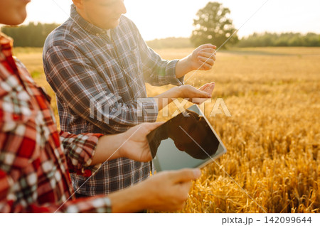 Couple of farmers inspect a grain field using a digital tablet. Smart farming, digital agriculture. Couple of farmers inspect a grain field using a digital tablet. Smart farming, digital agriculture. 142099644