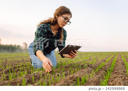 Young female agronomist with a digital tablet in her hands checks young shoots in the field. Young female agronomist with a digital tablet in her hands checks young shoots in the field. 142099868