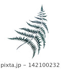 Dark green fern frond hand drawn watercolor botanical illustration. Gothic victorian witchcraft poison garden Isolated element perfect for spooky halloween decor and whimsical forest aesthetic print 142100232