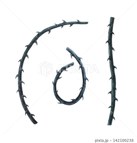 Set Rose stems with thorns, curved and straight, hand drawn watercolor art. A gothic victorian witch craft poison garden shadow aesthetic element for spooky halloween and mystical botanical print Set Rose stems with thorns, curved and straight, hand drawn watercolor art. A gothic victorian witch craft poison garden shadow aesthetic element for spooky halloween and mystical botanical print 142100238