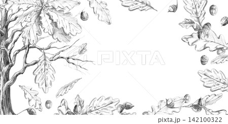 An old oak tree surrounded by falling leaves in a rectangular frame. Pencil illustration for books, postcards, websites, eco-parks, branding, craft beer label designs, and eco-hotel logos. An old oak tree surrounded by falling leaves in a rectangular frame. Pencil illustration for books, postcards, websites, eco-parks, branding, craft beer label designs, and eco-hotel logos. 142100322