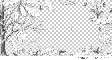 An old oak tree surrounded by falling leaves in a rectangular frame. Pencil illustration for books, postcards, websites, eco-parks, branding, craft beer label designs, and eco-hotel logos. An old oak tree surrounded by falling leaves in a rectangular frame. Pencil illustration for books, postcards, websites, eco-parks, branding, craft beer label designs, and eco-hotel logos. 142100322