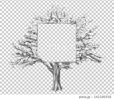 A pencil drawing of an old oak tree with a square frame in the center. Illustration for business cards, invitations, thematic articles, journal cover designs, and templates for educational materials. A pencil drawing of an old oak tree with a square frame in the center. Illustration for business cards, invitations, thematic articles, journal cover designs, and templates for educational materials. 142100358