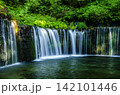 白糸の滝　早朝　軽井沢 142101446